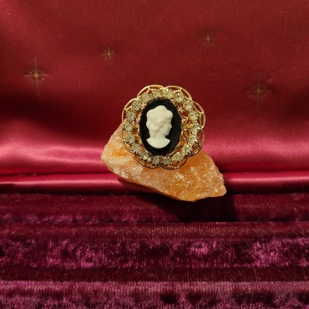 Vintage Collection of Cameo Silhouette - Picture 4 of 9